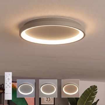 BRILAGI - LED hämardatav laevalgusti FALCON SLIM LED/42W/230V 3000-6500K läbimõõt 50 cm beež + kaugjuhtimispult