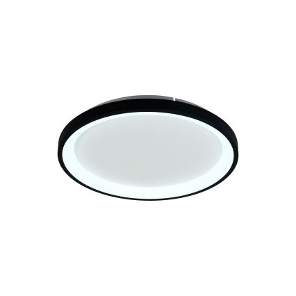 Brilagi - Hämardatav LED-laelamp FALCON SLIM LED/42W/230V 3000-6500K läbimõõt 50 cm must + kaugjuhtimispult