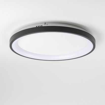 Brilagi - hämardatav LED-laelamp FALCON SLIM LED/42W/230V 3000-6500K läbimõõt 50 cm must + kaugjuhtimispult