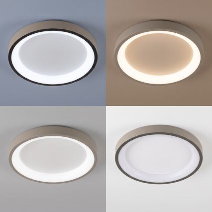 BRILAGI - hämardatav LED laelamp FALCON SLIM LED/42W/230V 3000-6500K läbimõõt 50 cm valge/beež + kaugjuhtimispult