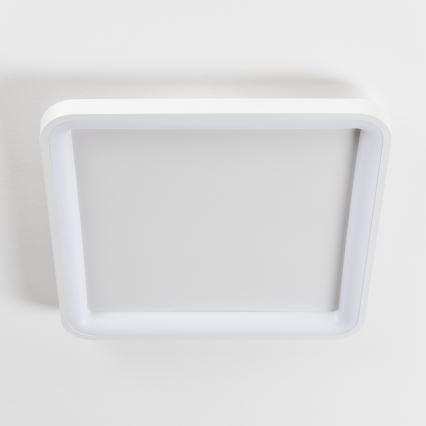 Brilagi - Hämardatav LED-laevalgusti FALCON SLIM LED/50W/230V 3000-6500K 50x50 cm valge + kaugjuhtimispult