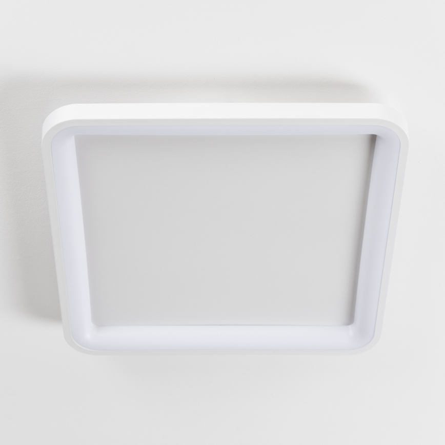 Brilagi - Hämardatav LED-laevalgusti FALCON SLIM LED/50W/230V 3000-6500K 50x50 cm valge + kaugjuhtimispult