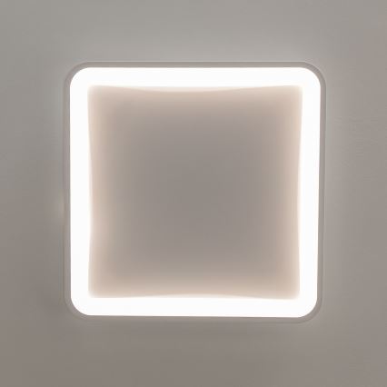 Brilagi - Hämardatav LED-laevalgusti FALCON SLIM LED/50W/230V 3000-6500K 50x50 cm valge + kaugjuhtimispult