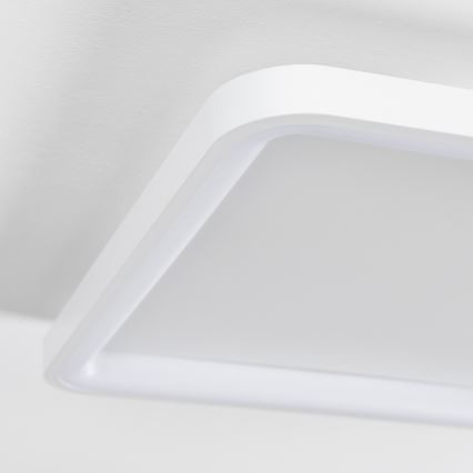 Brilagi - Hämardatav LED-laevalgusti FALCON SLIM LED/50W/230V 3000-6500K 50x50 cm valge + kaugjuhtimispult