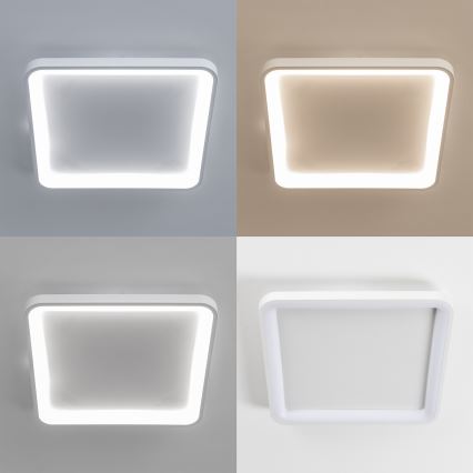 Brilagi - Hämardatav LED-laevalgusti FALCON SLIM LED/50W/230V 3000-6500K 50x50 cm valge + kaugjuhtimispult