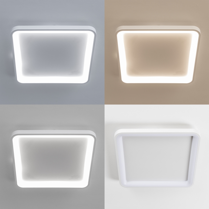 Brilagi - Hämardatav LED-laevalgusti FALCON SLIM LED/50W/230V 3000-6500K 50x50 cm valge + kaugjuhtimispult