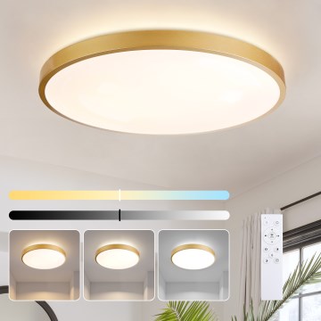 Brilagi - LED hämardatav laevalgusti GLASS POOL DOUBLE LED/80W/230V 3000-6000K 60 cm kuldne + kaugjuhtimispult