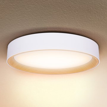 Brilagi - LED Hämardatav laevalgusti LARIOS LED/60W/230V 3000-6500K ø 49 cm valge + kaugjuhtimispult