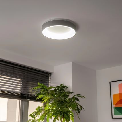 Brilagi - LED Hämardatav laevalgusti FALCON LED/40W/230V 3000-6500K d. 45 cm hall + pult