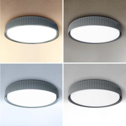 Brilagi - LED-hämardatav laelamp LUCIA LED/60W/230V 3000-6500K läbimõõt 59 cm hall + kaugjuhtimispult
