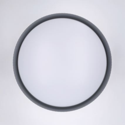 Brilagi - LED-hämardatav laelamp LUCIA LED/60W/230V 3000-6500K läbimõõt 59 cm hall + kaugjuhtimispult