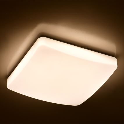 Brilagi - LED Hämardatav laevalgusti MILKY LED/24W/230V + Pult 3000K-6500K