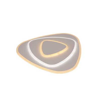 Brilagi - LED Hämardatav laevalgusti MODERN LED/58W/230V 2700-6500K 47x48,5 cm+ kaugjuhtimispult