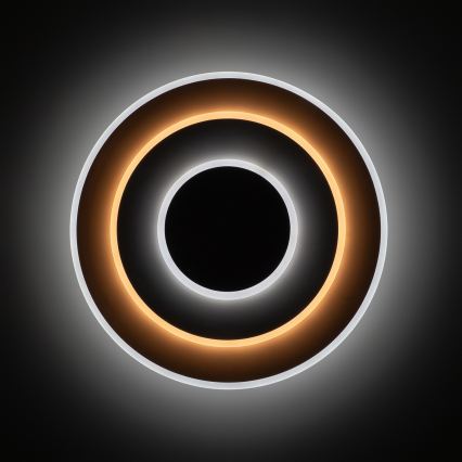 Brilagi - LED-hämardatav laelamp MODERN LED/58W/230V 3000-6000K läbimõõt 46,3 cm + kaugjuhtimispult
