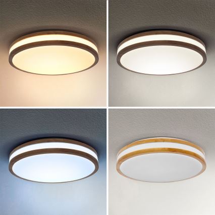 Brilagi - LED Hämardatav laevalgusti MOLINA LED/48W/230V 3000-6500K tamm d. 38 cm + kaugjuhtimispult