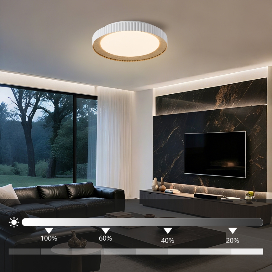 BRILAGI - hämardatav laelamp NEXO LED/48W/230V 3000-6000K valge läbimõõt 43 cm + kaugjuhtimispult