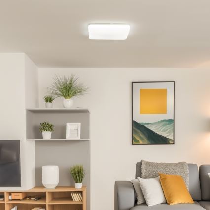 Brilagi - LED Hämardatav laevalgusti OPAL LED/24W/230V 3000/4000/6500K + kaugjuhtimispult