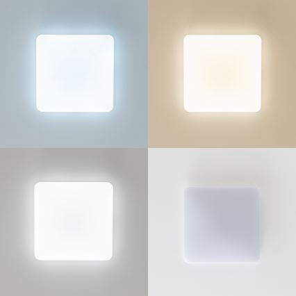 Brilagi - LED Hämardatav laevalgusti OPAL LED/24W/230V 3000/4000/6500K + kaugjuhtimispult