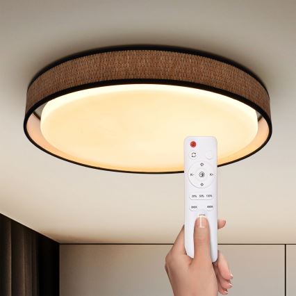 Brilagi - LED Hämardatav laevalgusti PILAR LED/48W/230V 3000-6500K d. 43 cm + kaugjuhtimispult
