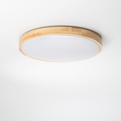 Brilagi - LED Hämardatav laevalgusti PINE LED/24W/230V 3000-6500K + pult