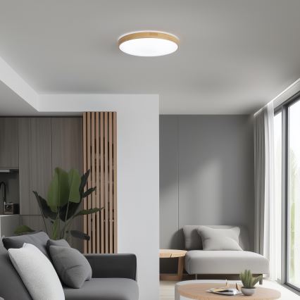 Brilagi - LED Hämardatav laevalgusti PINE LED/24W/230V 3000-6500K + pult