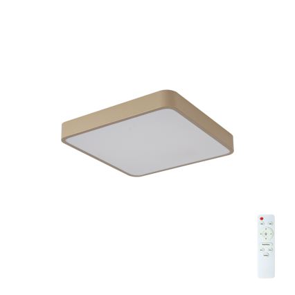 Brilagi - LED hämardatav laelamp POOL LED/36W/230V 3000-6000K 40x40 cm beež + kaugjuhtimispult