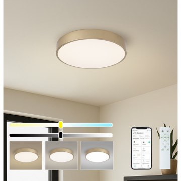 BRILAGI - LED hämardatav laevalgusti POOL SMART LED/48W/230V 3000-6000K läbimõõt 40 cm Wi-Fi Tuya kuldne + kaugjuhtimispult
