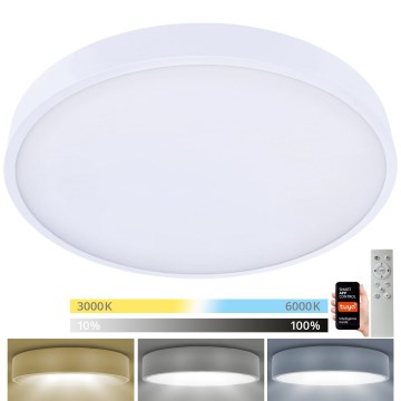 Brilagi - LED Hämardatav laevalgusti POOL SMART LED/60W/230V 50 cm 3000-6000K Wi-Fi Tuya + kaugjuhtimispult valge