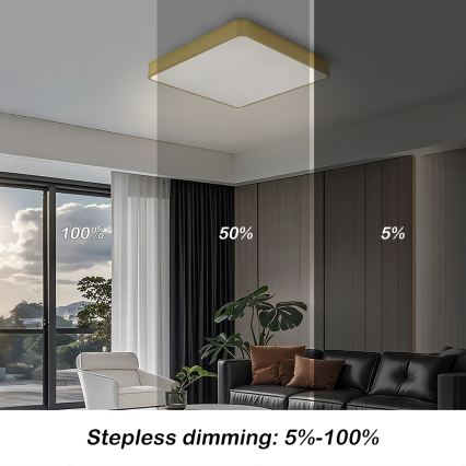 BRILAGI - LED hämardatav laelamp POOL SQUARE LED/48W/230V 3000-6000K 50x50 cm kuldne + kaugjuhtimispult