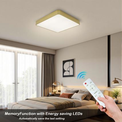 BRILAGI - LED hämardatav laelamp POOL SQUARE LED/48W/230V 3000-6000K 50x50 cm kuldne + kaugjuhtimispult
