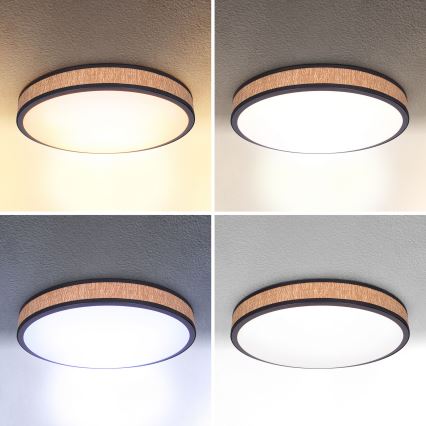 Brilagi - LED Hämardatav laevalgusti ROSA LED/48W/230V 3000-6500K d. 38 cm + kaugjuhtimispult