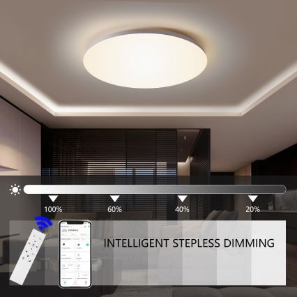 Brilagi - LED Hämardatav laevalgusti SMART LED/24W/230V 2700-6500K Wi-Fi Tuya + kaugjuhtimispult