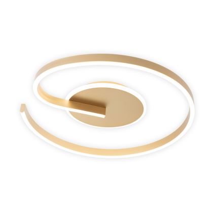 Brilagi - LED hämardatav laelamp SPIRAL LED/56W/230V Ø 50 cm 3000/4000/6000K + kaugjuhtimispult