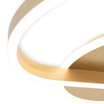 Brilagi - LED hämardatav laelamp SPIRAL LED/56W/230V Ø 50 cm 3000/4000/6000K + kaugjuhtimispult