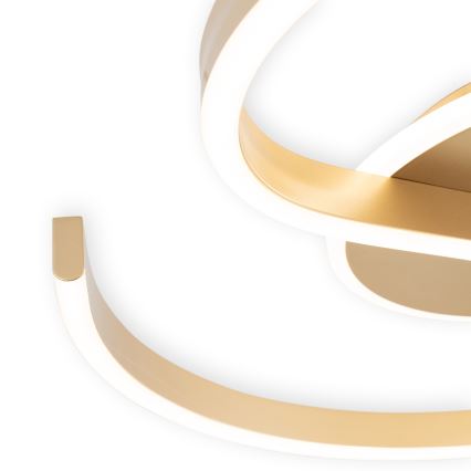 Brilagi - LED hämardatav laelamp SPIRAL LED/56W/230V Ø 50 cm 3000/4000/6000K + kaugjuhtimispult