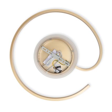 Brilagi - LED hämardatav laelamp SPIRAL LED/56W/230V Ø 50 cm 3000/4000/6000K + kaugjuhtimispult