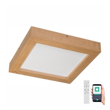 Brilagi - LED Hämardatav laevalgusti vannituppa WOODY FRAME LED/24W/230V tamm 30x30 cm 3000-6000K IP44 + kaugjuhtimispult