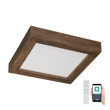 Brilagi - LED Hämardatav laevalgusti vannituppa WOODY FRAME LED/24W/230V tamm 30x30 cm 3000-6000K IP44 + kaugjuhtimispult