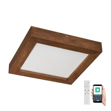 Brilagi - LED Hämardatav laevalgusti vannituppa WOODY FRAME LED/24W/230V tamm kirss 30x30 cm 3000-6000K IP44 + kaugjuhtimispult