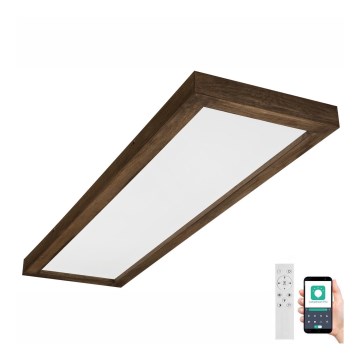 Brilagi - LED Hämardatav laevalgusti vannituppa WOODY FRAME LED/50W/230V tamm 120x30 cm 3000-6000K IP44 + kaugjuhtimispult
