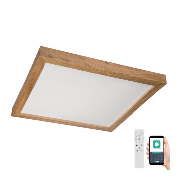 Brilagi - LED Hämardatav laevalgusti vannituppa WOODY FRAME LED/50W/230V tamm 60x60 cm 3000-6000K IP44 + kaugjuhtimispult