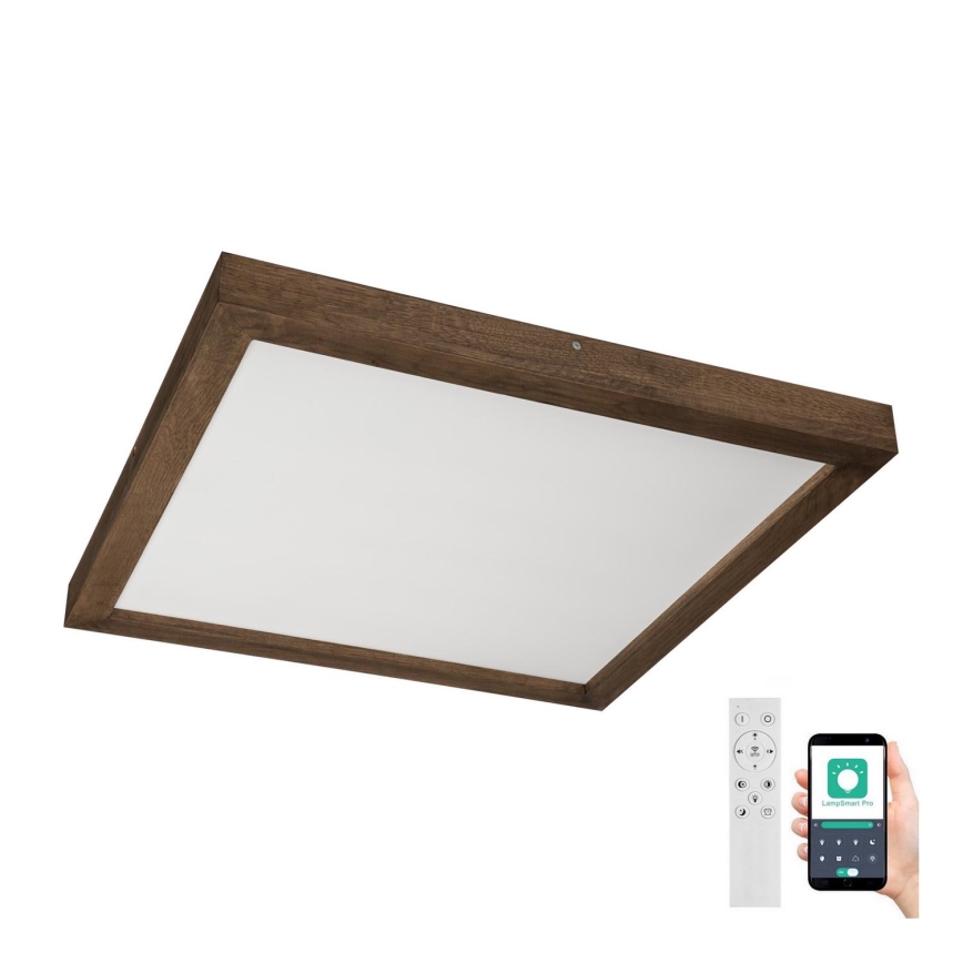 Brilagi - LED Hämardatav laevalgusti vannituppa WOODY FRAME LED/50W/230V tamm 60x60 cm 3000-6000K IP44 + kaugjuhtimispult