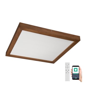 Brilagi - LED Hämardatav laevalgusti vannituppa WOODY FRAME LED/50W/230V tamm kirss 60x60 cm 3000-6000K IP44 + kaugjuhtimispult