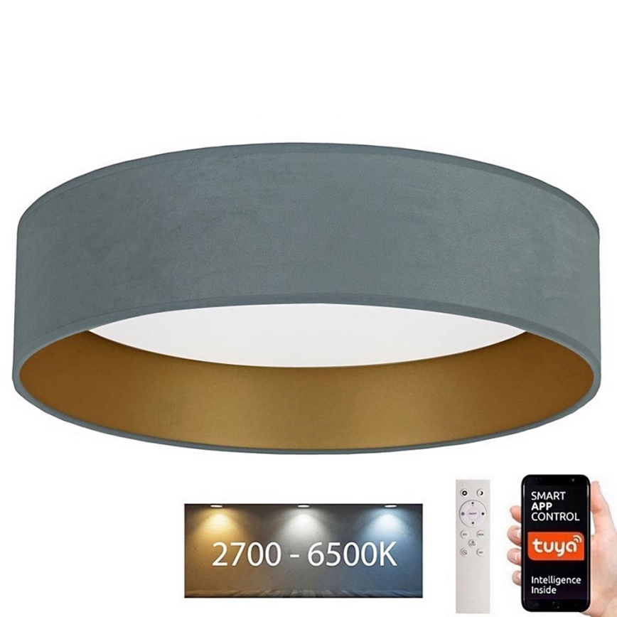 Brilagi - LED Hämardatav laevalgusti VELVET SMART LED/24W/230V d. 45 cm 2700-6500K Wi-Fi Tuya piparmündi roheline/kuldne + pult