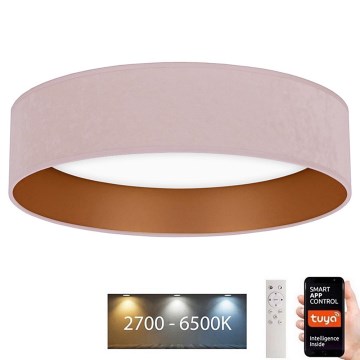 Brilagi - LED Hämardatav laevalgusti VELVET SMART LED/24W/230V d. 45 cm 2700-6500K Wi-Fi Tuya roosa/kuldne + pult