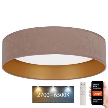 Brilagi - LED Hämardatav laevalgusti VELVET SMART LED/36W/230V d. 55 cm 2700-6500K Wi-Fi Tuya beež/kuldne + pult