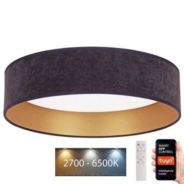 Brilagi - LED Hämardatav laevalgusti VELVET SMART LED/36W/230V d. 55 cm 2700-6500K Wi-Fi Tuya hall/kuldne + pult