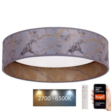 Brilagi - LED Hämardatav laevalgusti VELVET SMART LED/36W/230V d. 55 cm 2700-6500K Wi-Fi Tuya hall/kuldne + pult