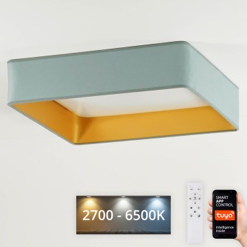 Brilagi - LED Hämardatav laevalgusti VELVET SQUARE SMART LED/36W/230V 2700-6500K Wi-Fi Tuya + kaugjuhtimispult münt