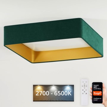 Brilagi - LED Hämardatav laevalgusti VELVET SQUARE SMART LED/36W/230V 2700-6500K Wi-Fi Tuya + kaugjuhtimispult roheline